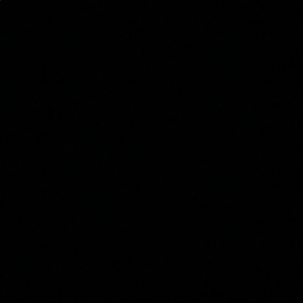 Meet your Posher, Joy